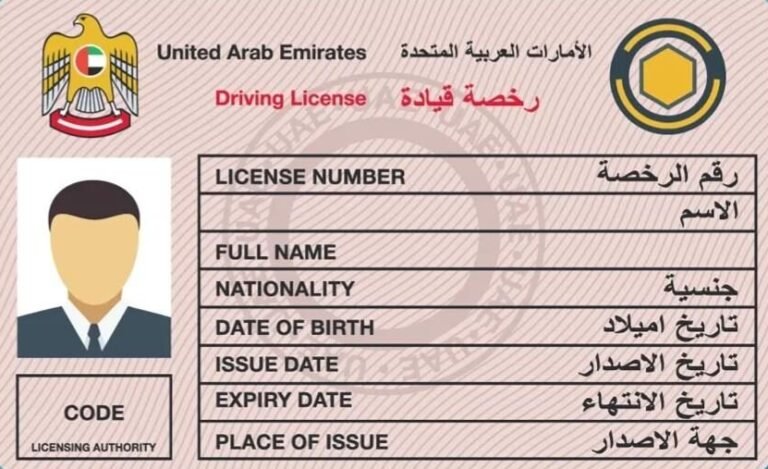 Driving License Translation Services